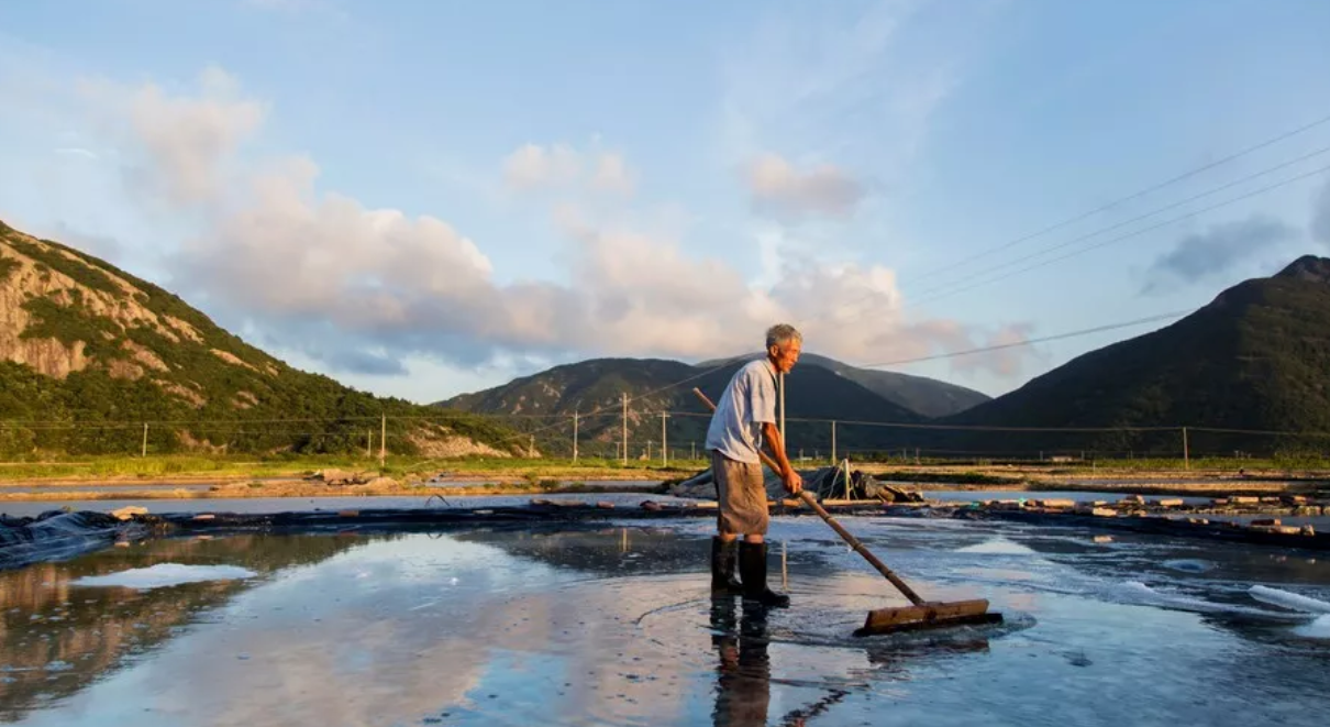 定型機(jī),涂層機(jī),地毯機(jī),地毯背膠機(jī),靜電植絨機(jī)