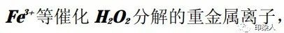 定型機,涂層機,地毯機,地毯背膠機,靜電植絨機