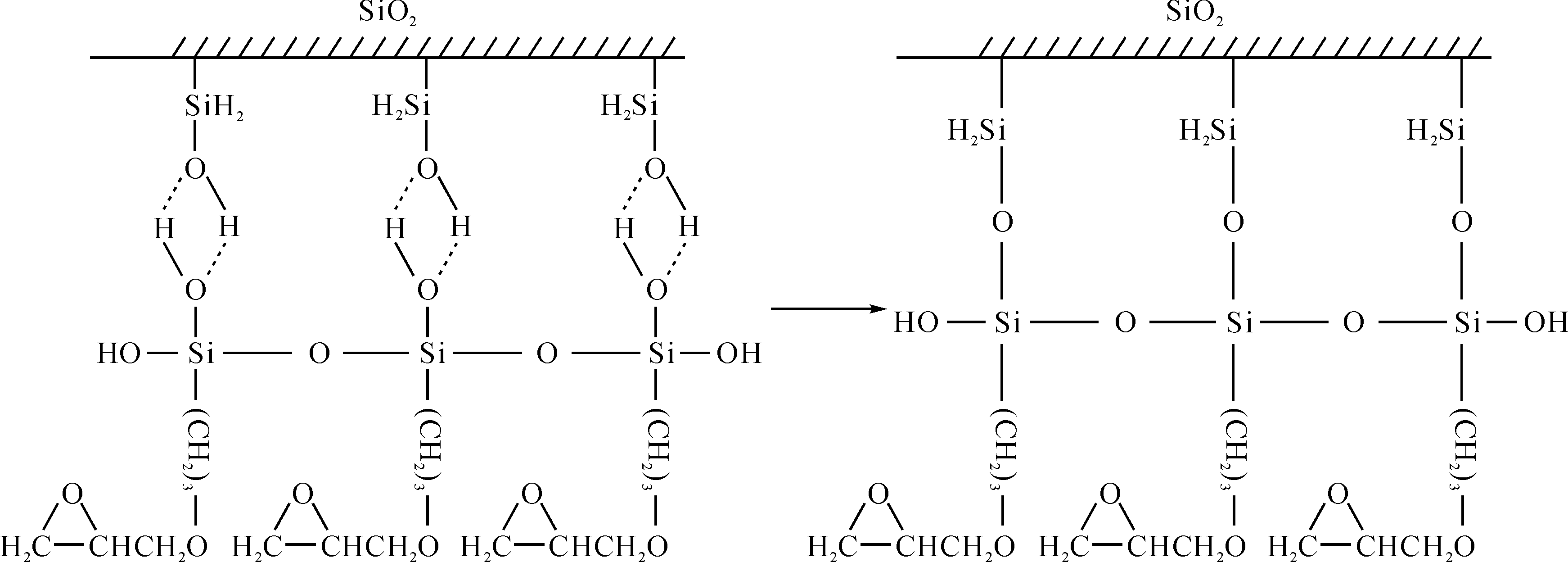 定型機(jī),涂層機(jī),地毯機(jī),地毯背膠機(jī),靜電植絨機(jī)